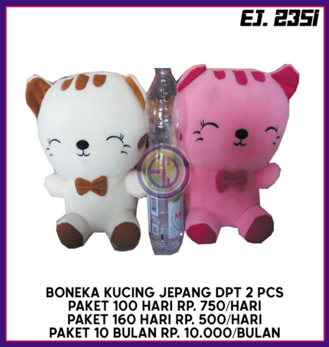 KUCING JEPANG M (2)